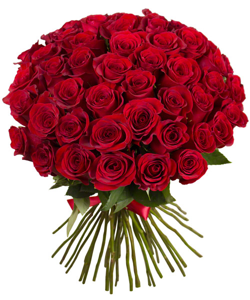 Red Roses Mayada Lebanon